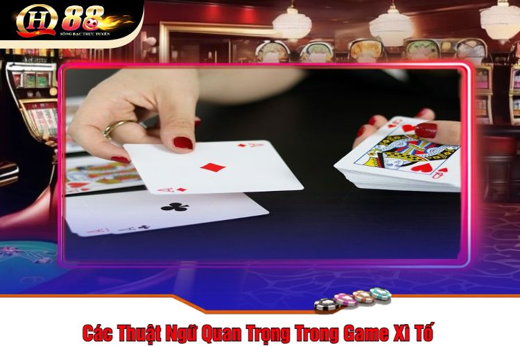 Các Thuật Ngữ Quan Trọng Trong Game Xì Tố 