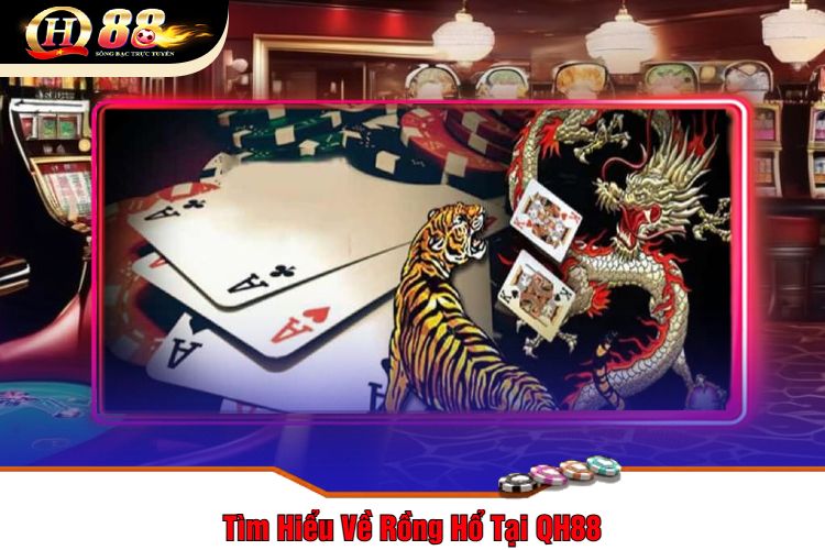 Tìm Hiểu Về Rồng Hổ Tại QH88